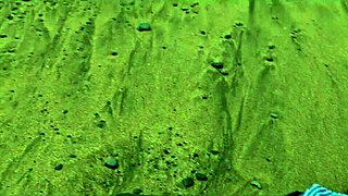 beautiful italian silvia soprano gets roughly dominated on norway beach with hard slaps spits and kinky cinematic play