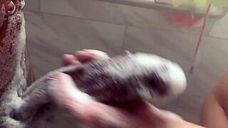 Big Stepsis Teases Stepsis's Monster BBC Behind Parents' Backs