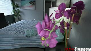 jackie hoff's hairy milf pussy creampied by stepson tony after massage!!