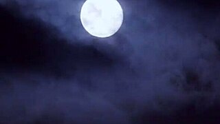 cheating wife bound tight takin brutal anal poundin 😈🔒💦