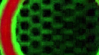 Italian milf orgy rocks big tits ass clit in lingerie ride