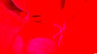 Emo Brunette Teases Huge Perfect Ass Cameltoe