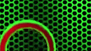 Big booty Savana Styles rides Rome Major doggystyle cowgirl deepthroat creampie blowbang muff diving cum on tits