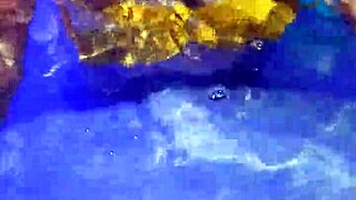 holy shit puta mexicana suckin dick pool neighbors watchin