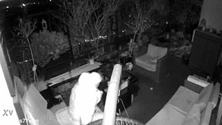 Spy Cam Exposes M4rkus77's Moaning Jerk-Off Cum Blast Outdoors