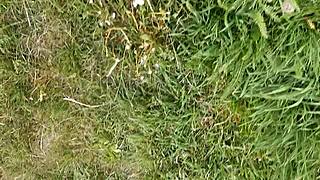 lunch break got me so horny i finger my hairy pussy till i explode in orgasm