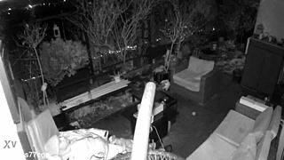 Spy Cam Exposes M4rkus77's Moaning Jerk-Off Cum Blast Outdoors