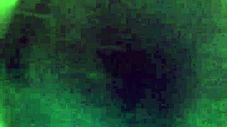 Redhead Amateur Sucks Dick Like a Pro!