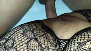 slamming wife's fat pussy in her lover's sexy bodystocking