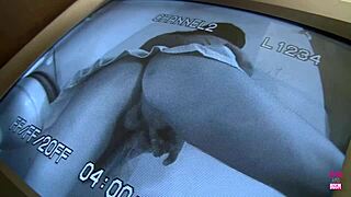 how horny does brunette sasha sweet get blowing stranger's big cock?