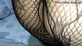 slamming wife's fat pussy in her lover's sexy bodystocking