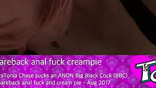 Tstonia Chase Swallows BBC Then Takes Bareback Anal Creampie Pounding