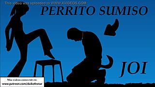 joi turn into my pet dog now voice in spanish!