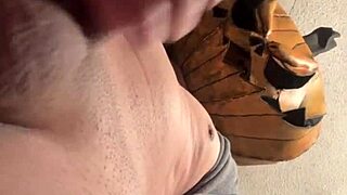 Halloween rey calabaza gets playfully shy 🎃😈