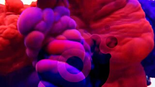 Step Sister's Sleepover Friend Gets Life's Best Surprise Fuck