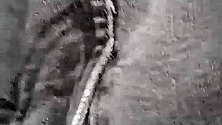 Why does this pregnant slut always bathroom fuck Italian?