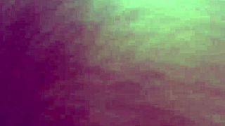 Tattooed African Ass Bounces Wild in Car Fuck!