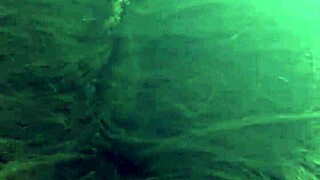 tits bouncin in my pov as i deepthroat sloppy cumshots