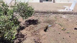 Skinny Italian Slut Fucked Hard Behind Olive Tree