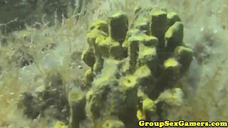 Facialized Babes Suck Dick In Beach Blowbang Party