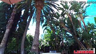 Stunning milf shay sights turns pool party into deepthroat pussy pounding orgy