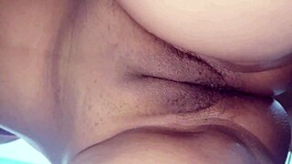 Couple pounds mature Latina's hairy ass with curvy shakes.