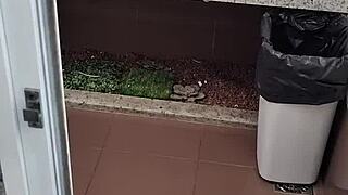 Guy masturbates with handjob in public bathroom toilet