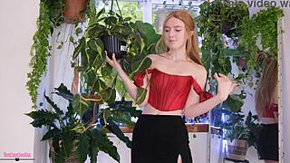 Thrilling New Plants Recently Added to Vibrant Indoor Collection Display