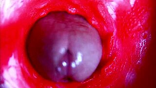 pregnant beauty masturbates to extreme asmr close-up inside her wet moaning pussy