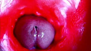 pregnant beauty masturbates to extreme asmr close-up inside her wet moaning pussy