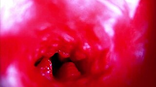 pregnant beauty masturbates to extreme asmr close-up inside her wet moaning pussy