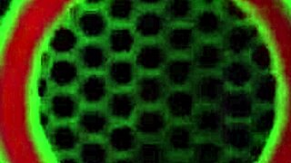 Inked BBW Red August Glasses Fucked Old