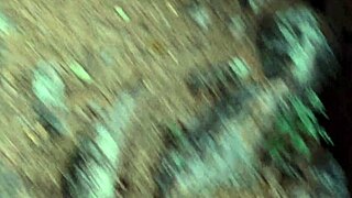 your horny mommy teases her big ass and long legs naked outdoors barefoot