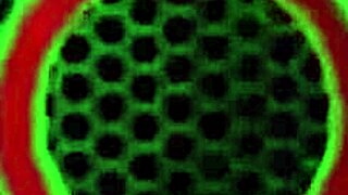 sweet molly manson's gorgeous feet get licked and worshipped hard