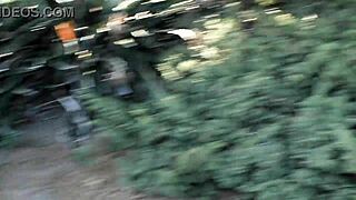 hey caught this horny brunette flashing shaved pussy outdoors in balboa park