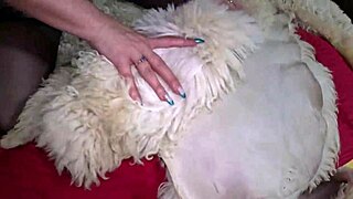 sexy milf rugs takes face fuck and cum play preview