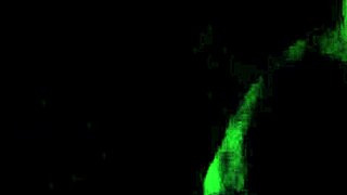 suckin this huge dick deep in the dark... feels so rough n cheatin good