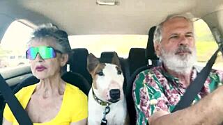 driving east oahu chatting sex with hot mature milf casting