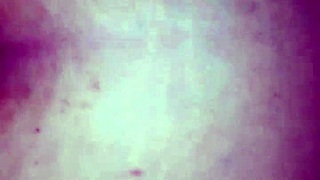 Wanna see doggystyle wreck my wife's wet pussy?