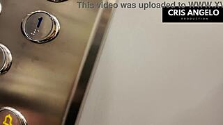 stuck in elevator i fuck married neighbor's tight pussy part 02
