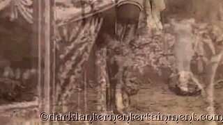 Vintage swingers confess erotic hairy pussy group fun in victorian lantern style