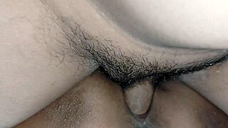 bhabhi devor sneaks romantic sex without husband knowing