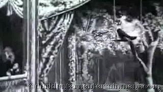 Vintage swingers confess erotic hairy pussy group fun in victorian lantern style