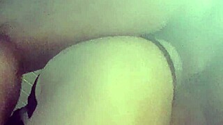 primo, you wanna bareback creampie my tight latina asshole?