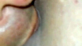 argentinian amateur chupando toda su verga
