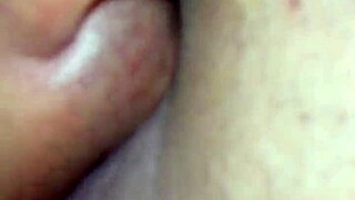 argentinian amateur chupando toda su verga