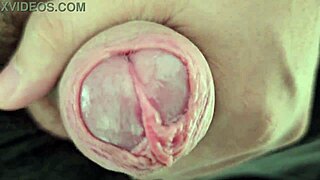 Almost Caught Stroking That Monster Daddy Cock!