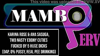 karina rose two nasty ebony cuties fucked by 5 huge dicks dap 0 pussy dry version atogm dirty version bbc ob430