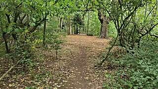 clapham common cruising trails update for june