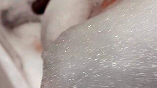 big tits babe in bathroom shows off